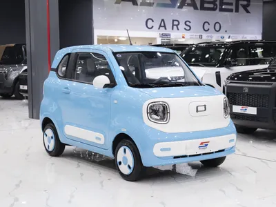 2025 فاو بيستون ميني إي في