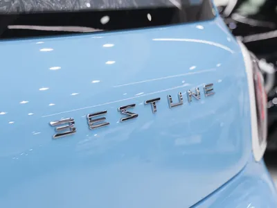 2025 فاو بيستون ميني إي في