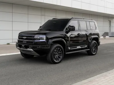 2026 بي واي دي ليوبارد 5