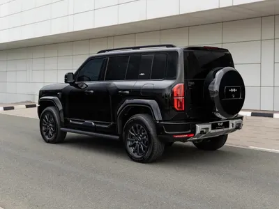 2026 بي واي دي ليوبارد 5