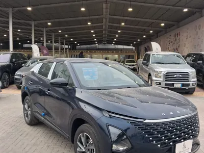 2026 شيري اومودا سي 5