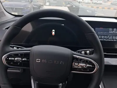 2026 شيري اومودا سي 5