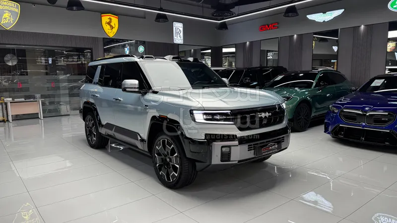 2025 بي واي دي ليوبارد 8