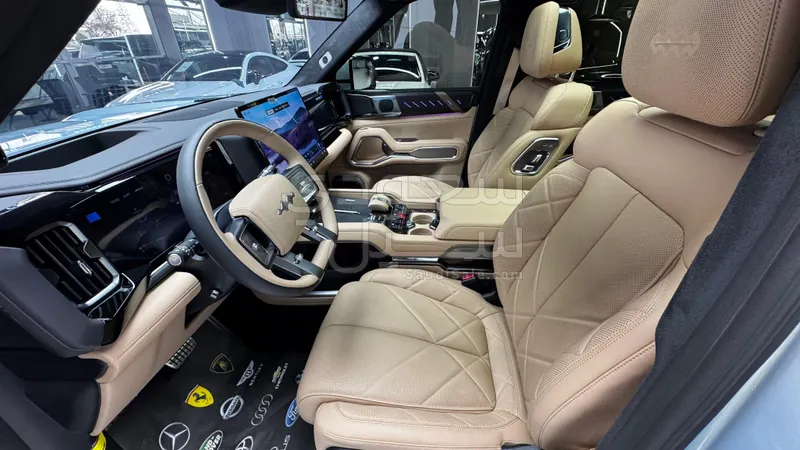 2025 بي واي دي ليوبارد 8