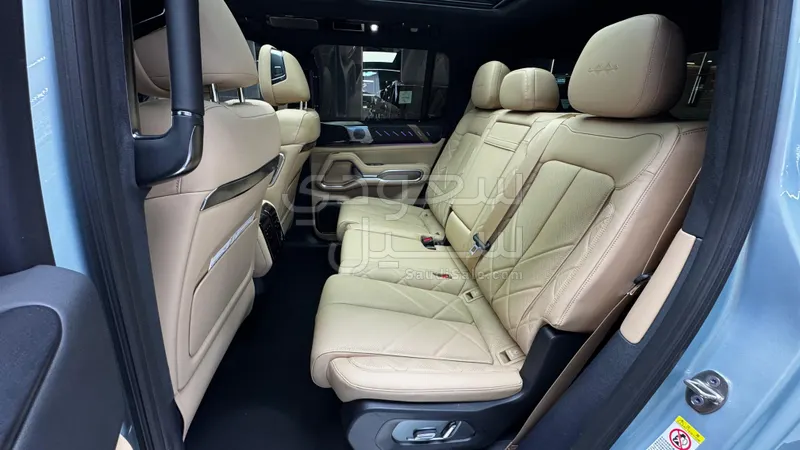 2025 بي واي دي ليوبارد 8