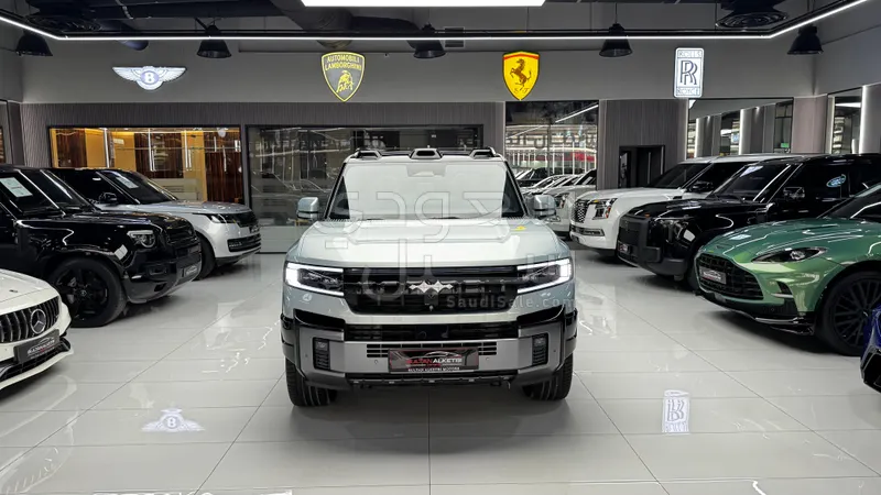 2025 بي واي دي ليوبارد 8