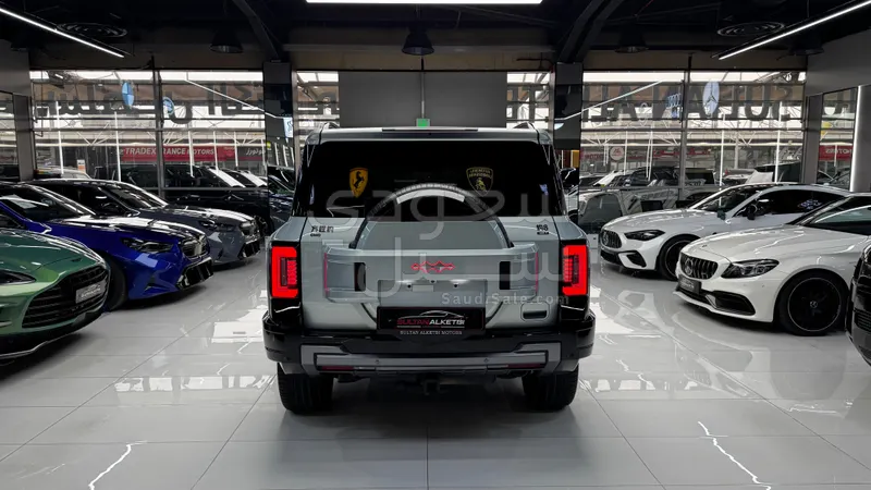 2025 بي واي دي ليوبارد 8