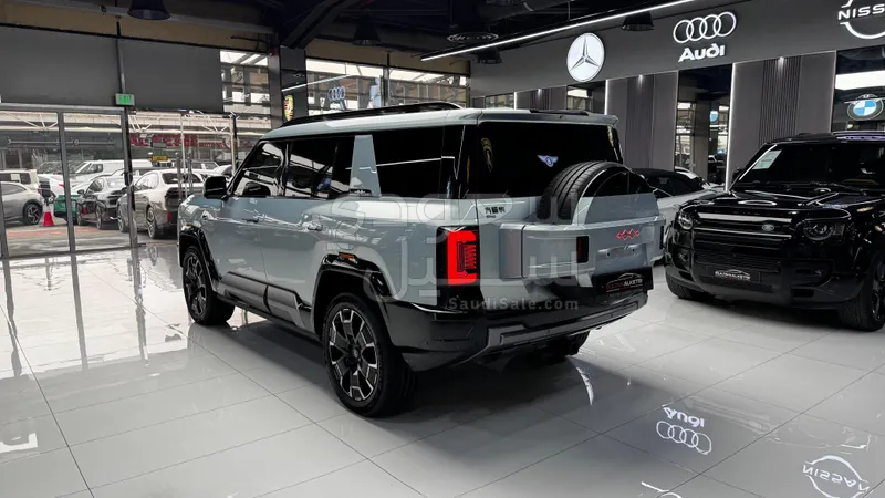 2025 بي واي دي ليوبارد 8