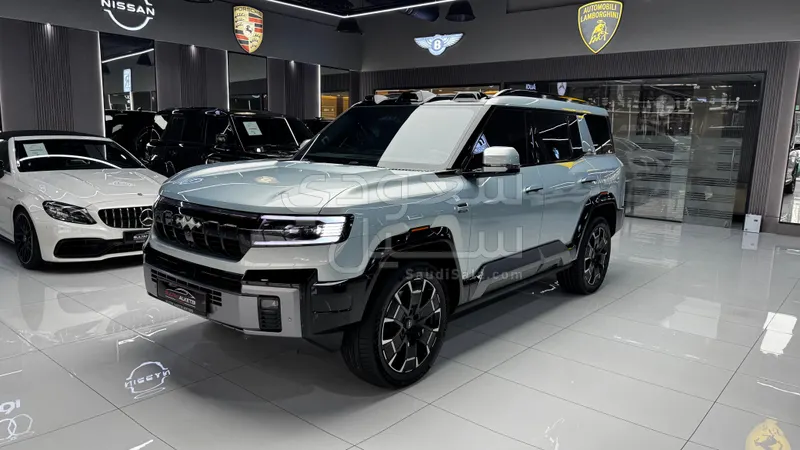 2025 بي واي دي ليوبارد 8