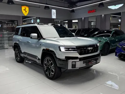 2025 بي واي دي ليوبارد 8