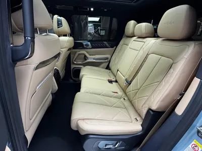 2025 بي واي دي ليوبارد 8