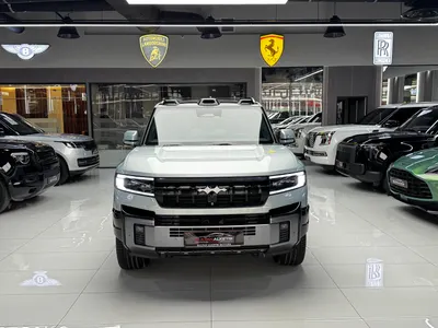 2025 بي واي دي ليوبارد 8