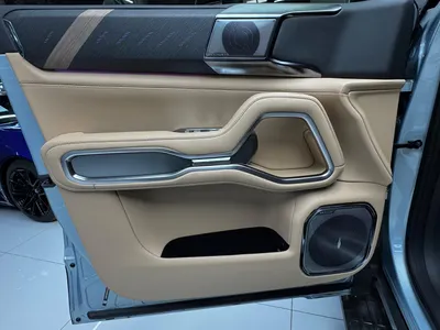 2025 بي واي دي ليوبارد 8