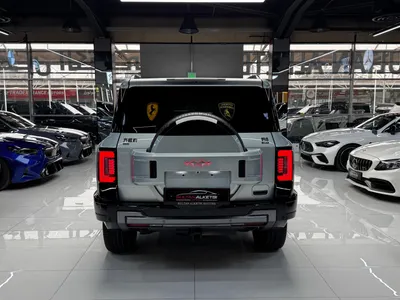 2025 بي واي دي ليوبارد 8