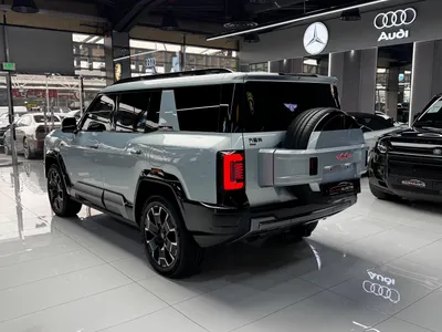 2025 بي واي دي ليوبارد 8