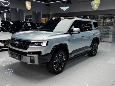 2025 بي واي دي ليوبارد 8