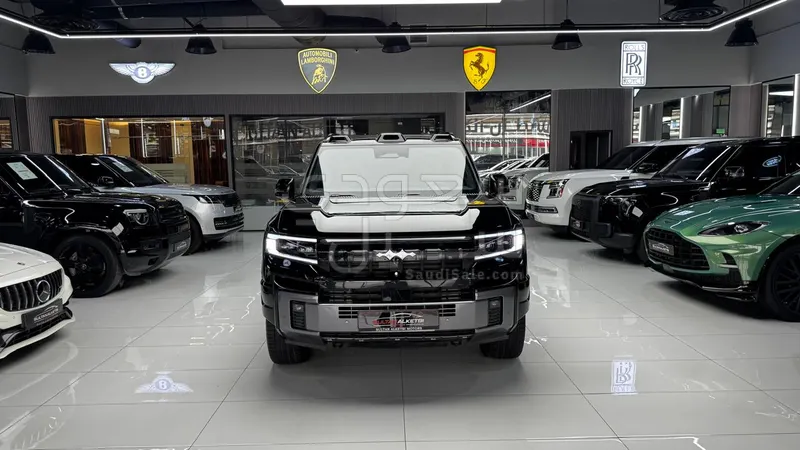 2025 بي واي دي ليوبارد 8