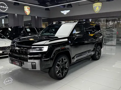 2025 بي واي دي ليوبارد 8