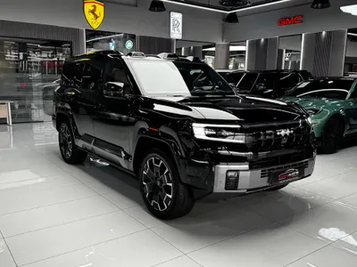 2025 بي واي دي ليوبارد 8