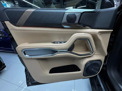 2025 بي واي دي ليوبارد 8