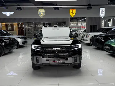 2025 بي واي دي ليوبارد 8