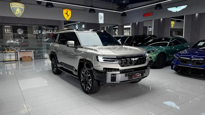 2025 بي واي دي ليوبارد 8