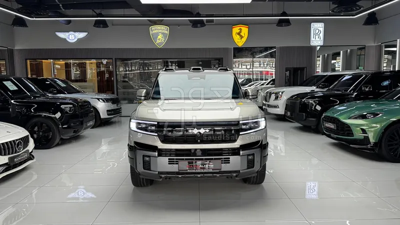 2025 بي واي دي ليوبارد 8