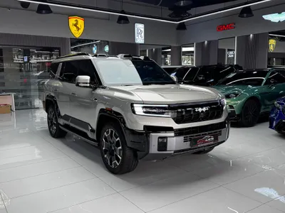 2025 بي واي دي ليوبارد 8