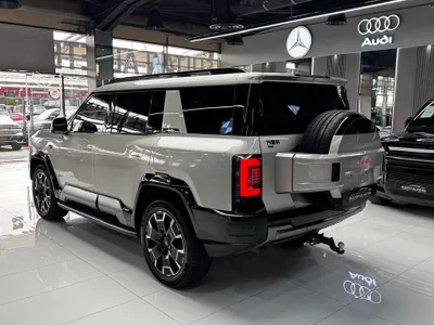 2025 بي واي دي ليوبارد 8