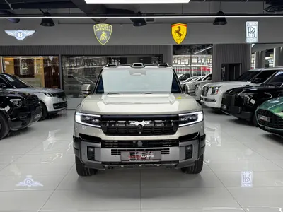 2025 بي واي دي ليوبارد 8