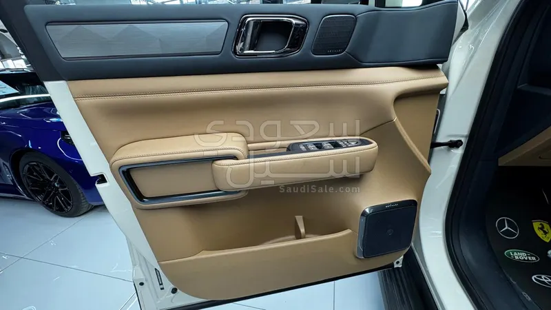 2025 بي واي دي ليوبارد 5