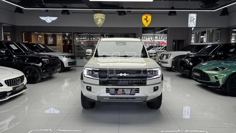 2025 بي واي دي ليوبارد 5