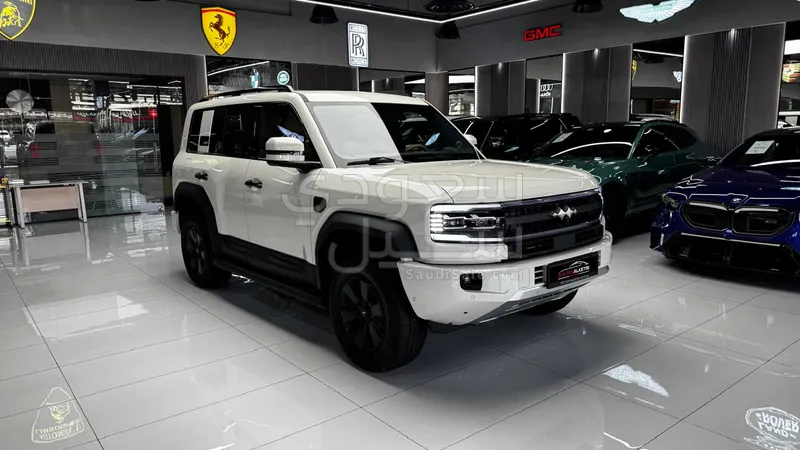 2025 بي واي دي ليوبارد 5