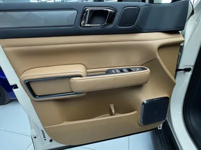 2025 بي واي دي ليوبارد 5