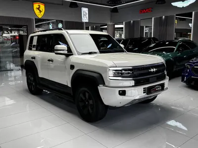 2025 بي واي دي ليوبارد 5