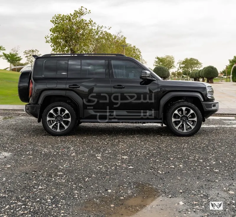 2024 بي واي دي ليوبارد 5