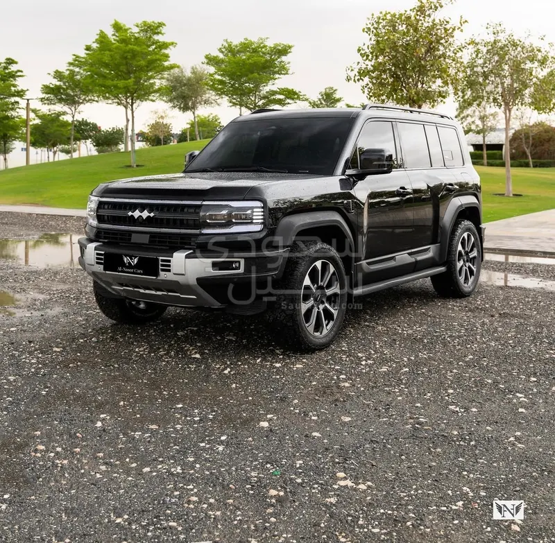 2024 بي واي دي ليوبارد 5