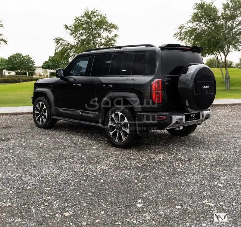 2024 بي واي دي ليوبارد 5