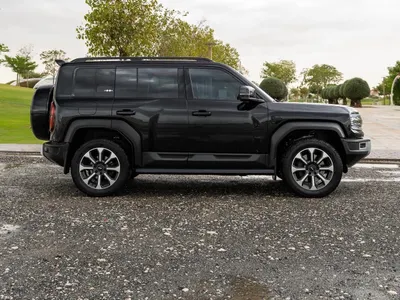 2024 بي واي دي ليوبارد 5