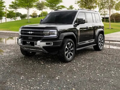 2024 بي واي دي ليوبارد 5