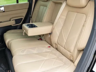 2024 بي واي دي ليوبارد 5