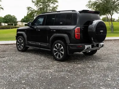 2024 بي واي دي ليوبارد 5