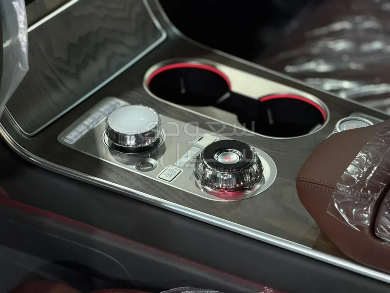 2026 جينيسيس جي في 80