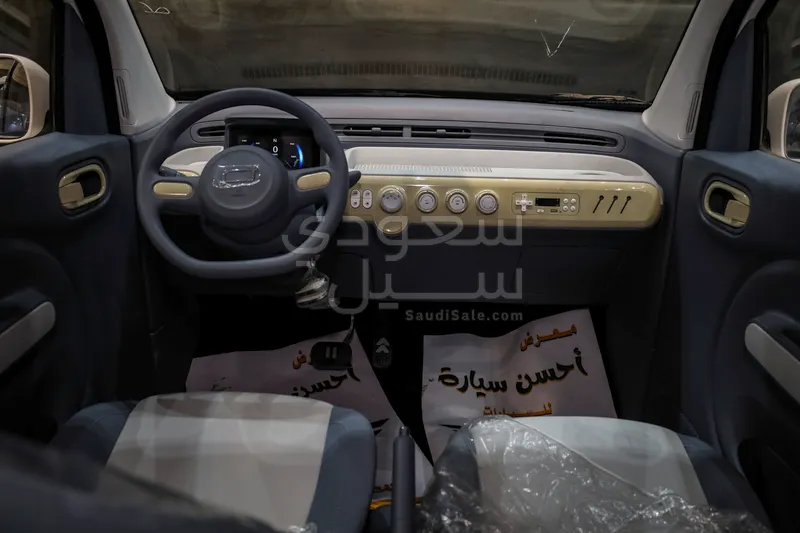 2025 فاو بيستون ميني إي في