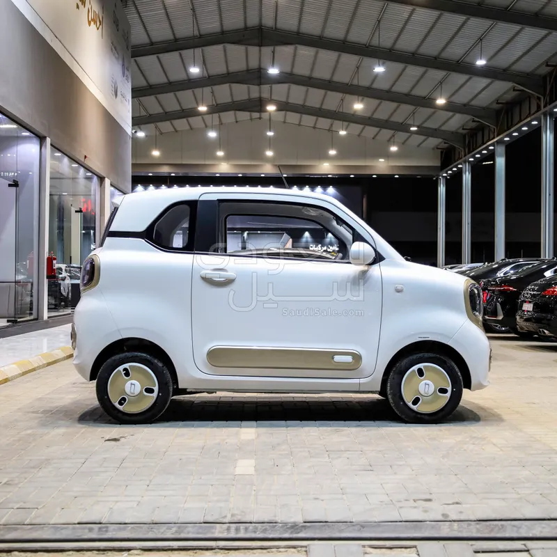 2025 فاو بيستون ميني إي في