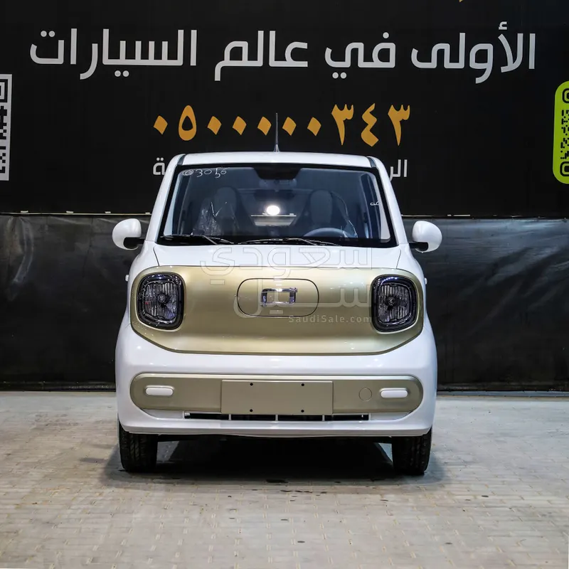 2025 فاو بيستون ميني إي في