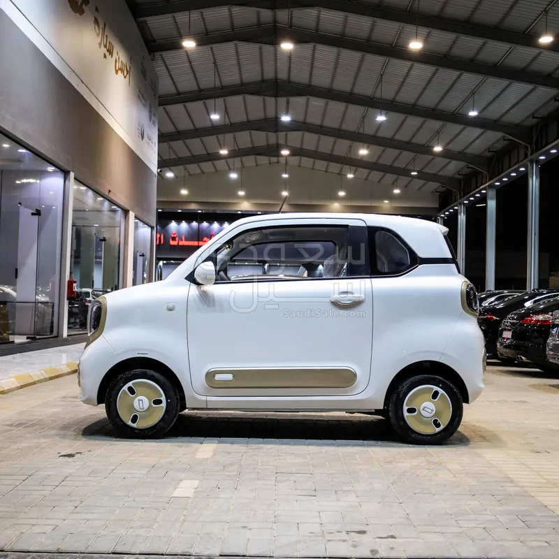 2025 فاو بيستون ميني إي في