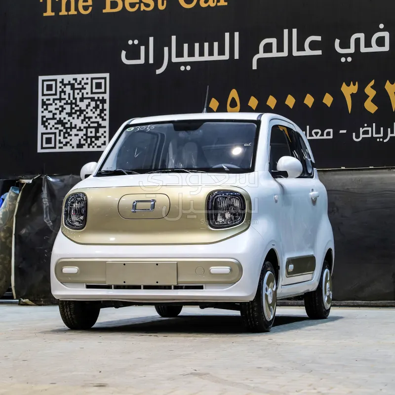 2025 فاو بيستون ميني إي في