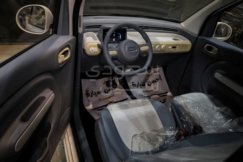 2025 فاو بيستون ميني إي في