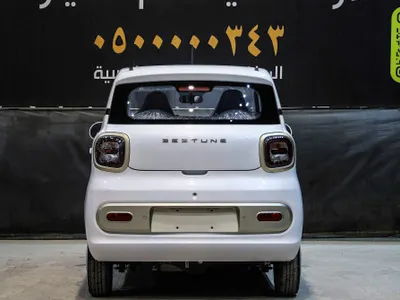 2025 فاو بيستون ميني إي في